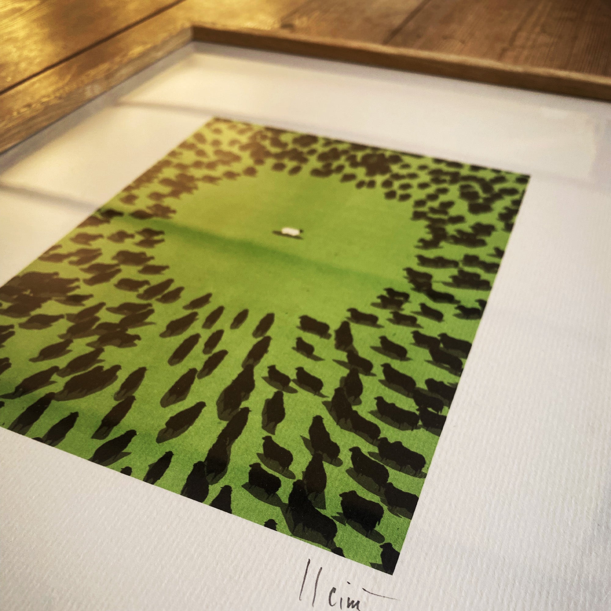 Black Sheep (What makes a sheep the black sheep is all a matter of quantity).