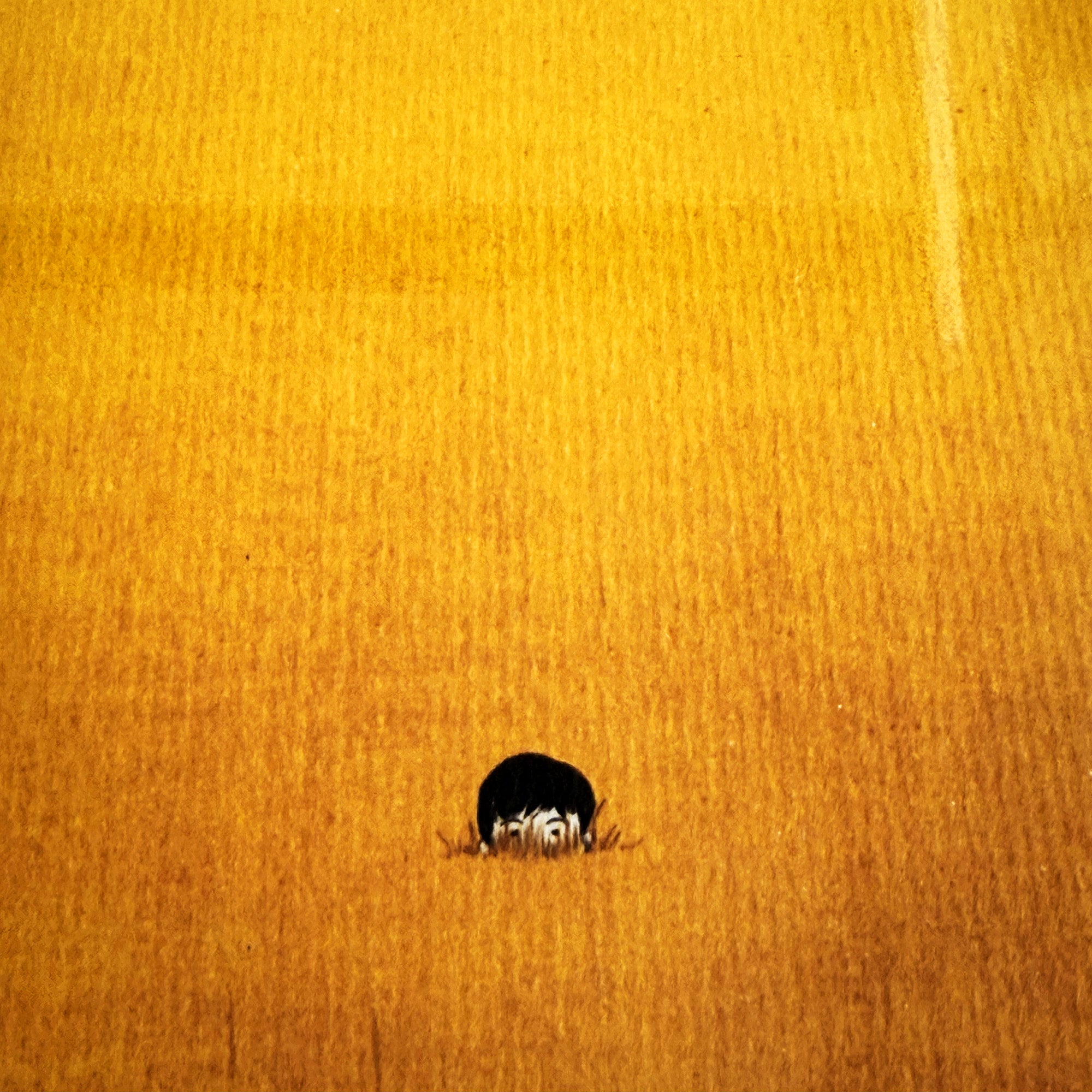 Do not let them find you