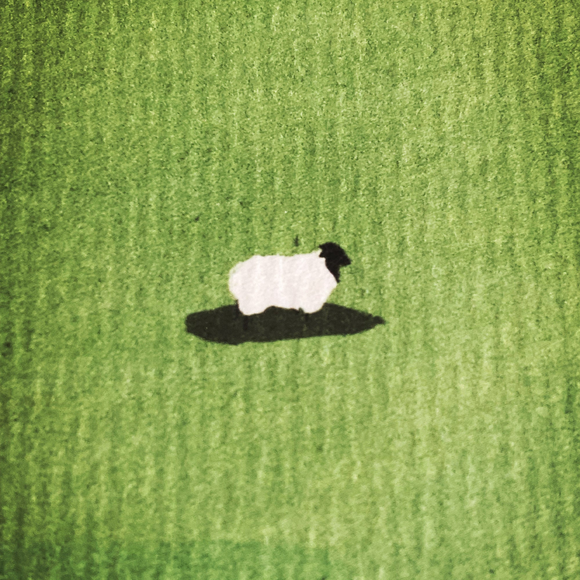 Black Sheep (What makes a sheep the black sheep is all a matter of quantity).