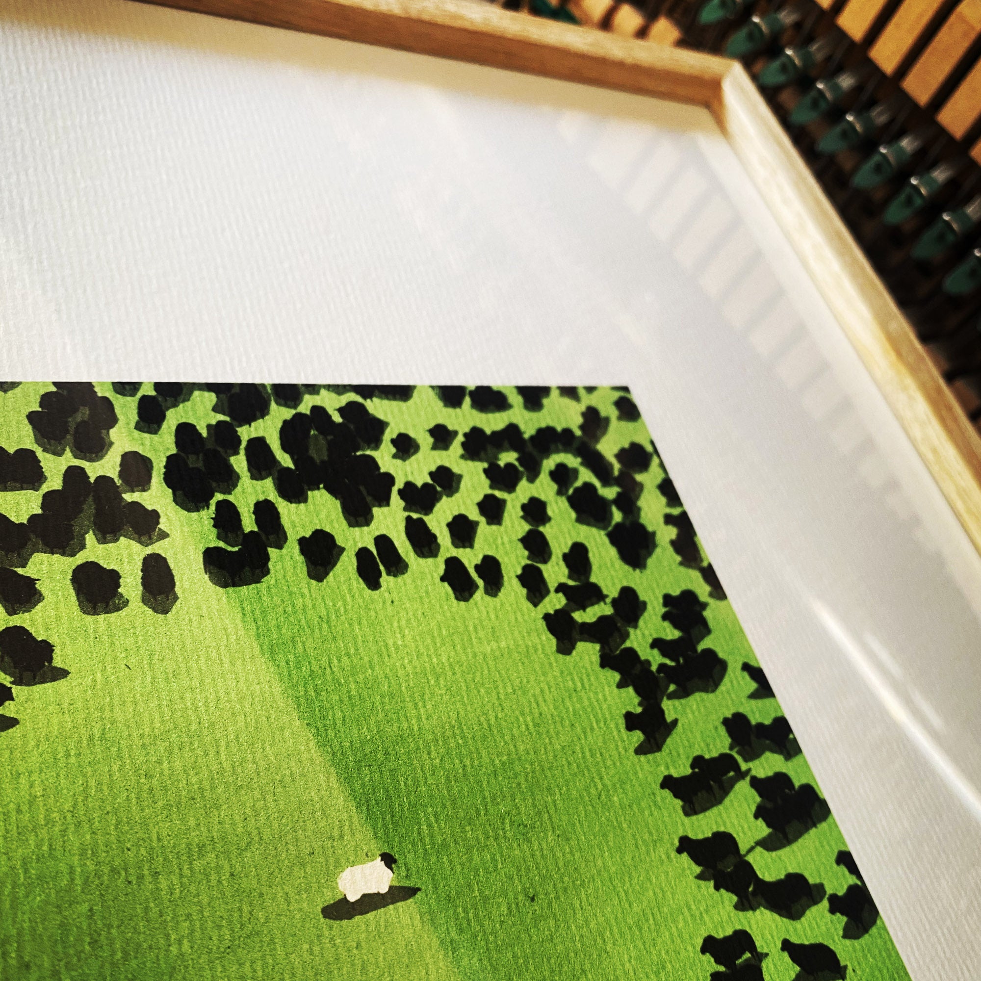 Black Sheep (What makes a sheep the black sheep is all a matter of quantity).