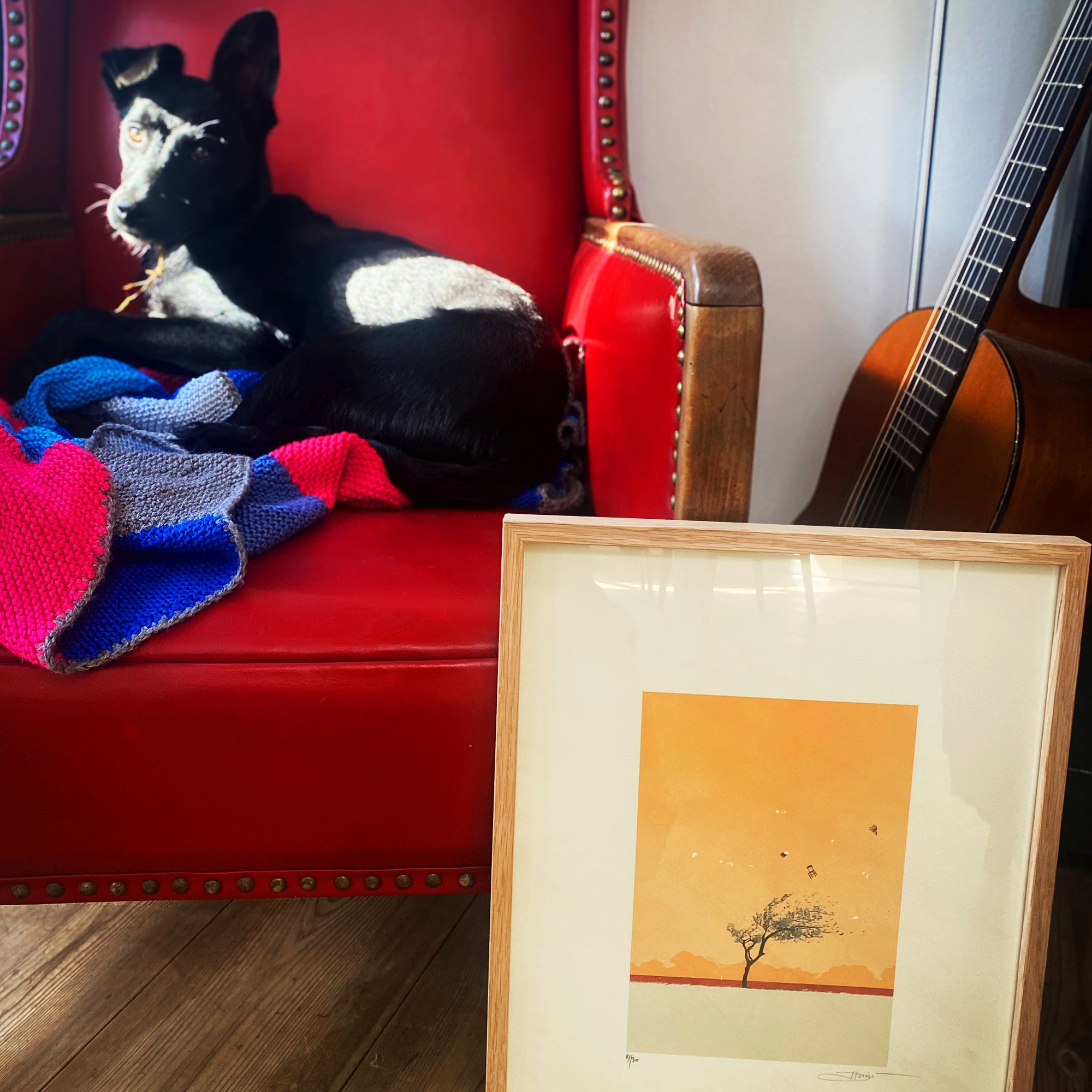 L´Invenzione Occasionale